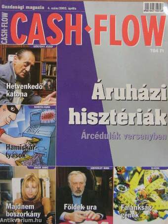 Cash flow 2002. április