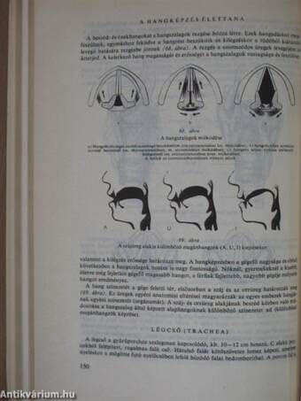 Functionalis anatomia