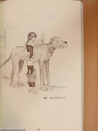 Gurney's Gallery of Dogs ...and Doggie Dictionary