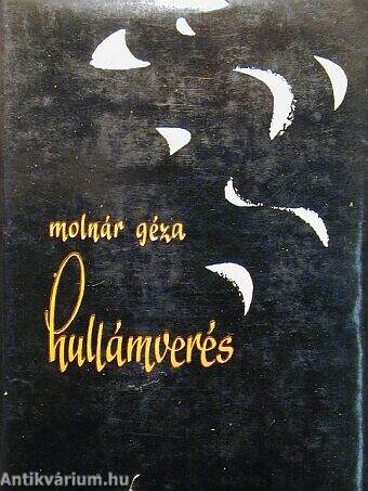 Hullámverés