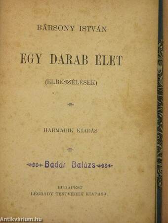 Egy darab élet