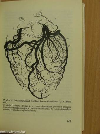 Electrocardiologia az orvosi gyakorlatban