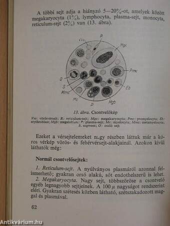 A gyakorló orvos laboratóriuma