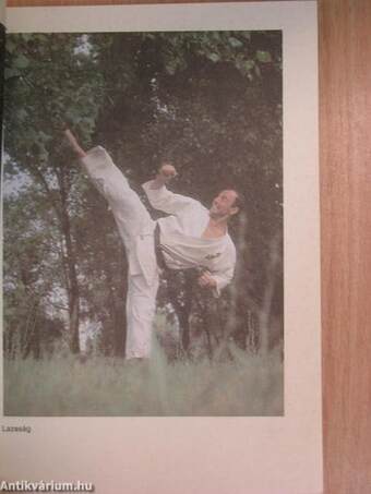 Kyokushin karate