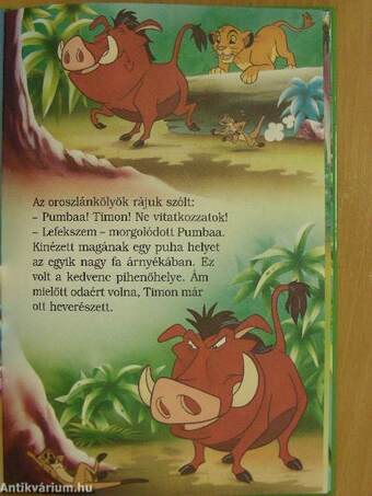 Pumbaa világgá megy