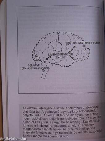 Érzelmi intelligencia sikerkalauz