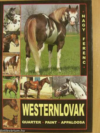 Westernlovak