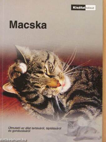 Macska