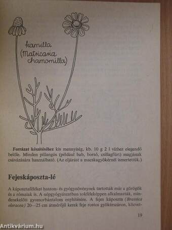 Biolevek természetes anyagokból